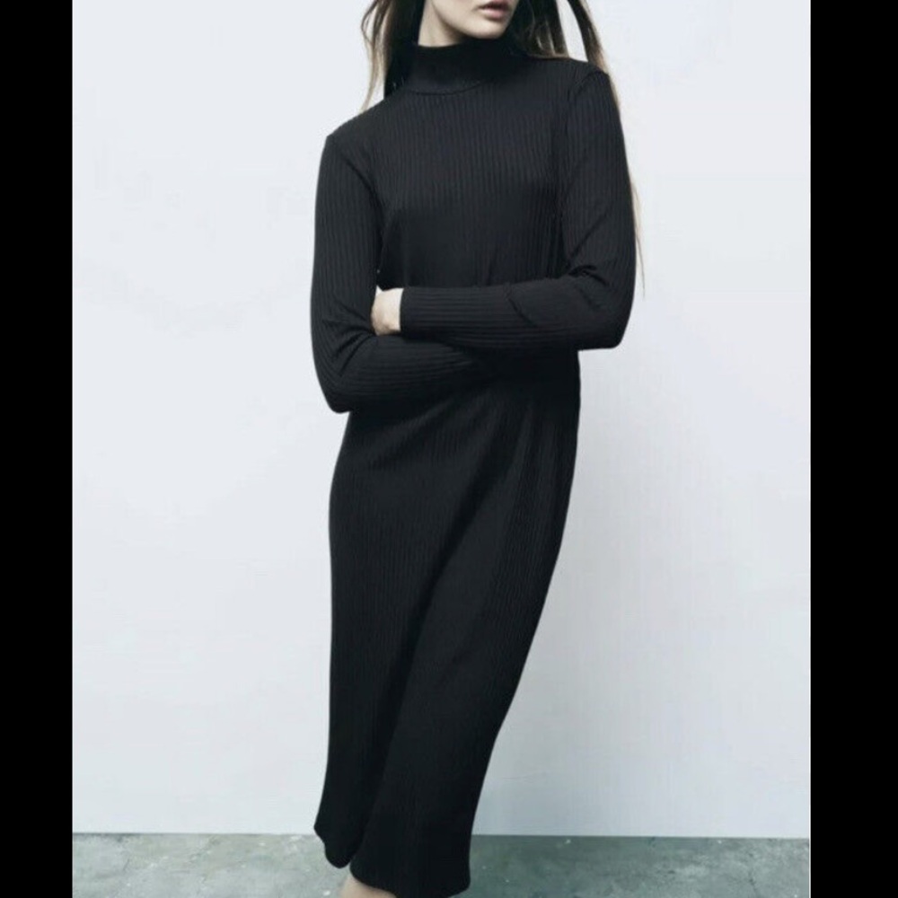 Zara knit turtle neck midi dress